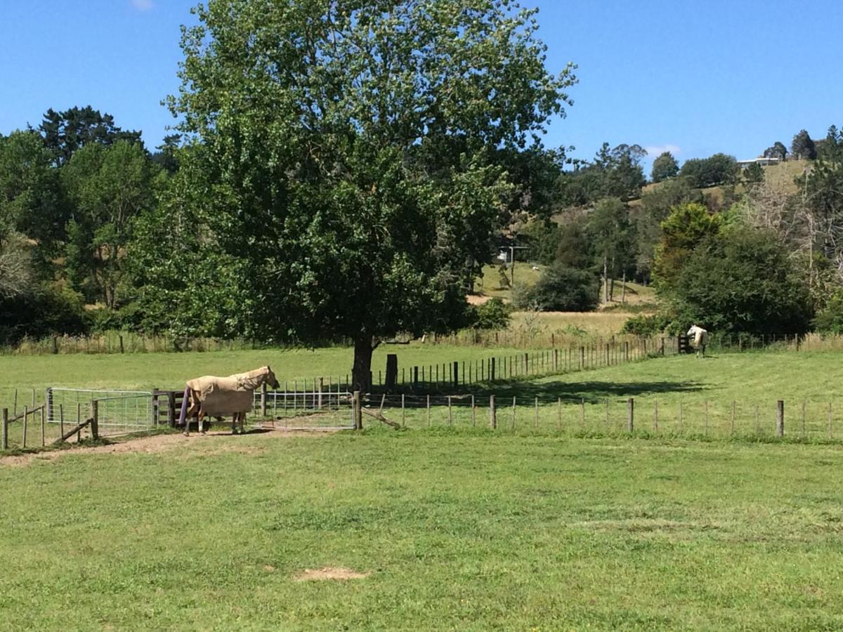 Bed and breakfast Hunua Ranges Extérieur photo